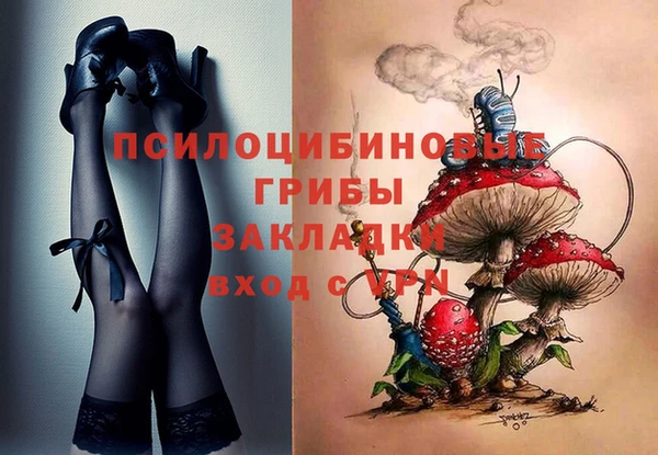 бошки Инта