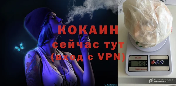 спиды Инсар