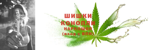 спиды Инсар