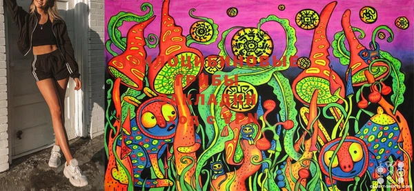 ECSTASY Иннополис