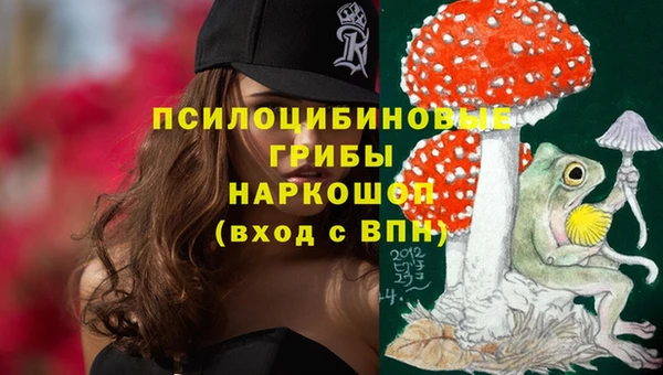 спиды Инсар