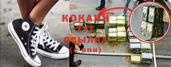 бошки Инта