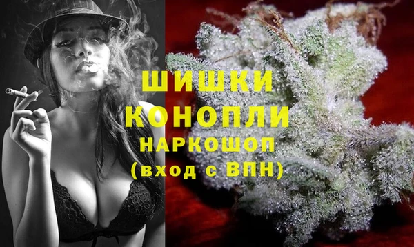 бошки Инта