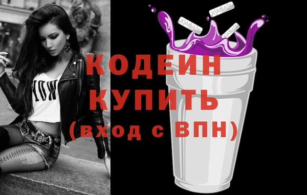бошки Инта